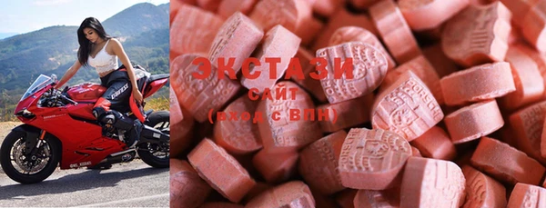 ECSTASY Вяземский